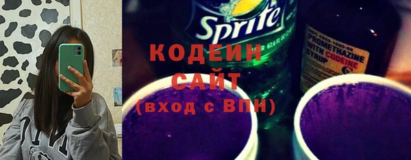 ПСИЛОЦИБИНОВЫЕ ГРИБЫ Арсеньев