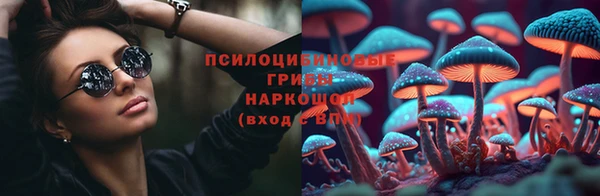 ПСИЛОЦИБИНОВЫЕ ГРИБЫ Арсеньев