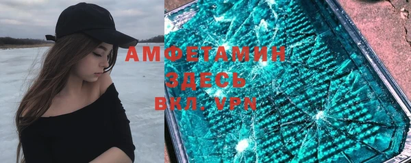 ПСИЛОЦИБИНОВЫЕ ГРИБЫ Арсеньев