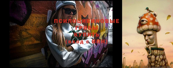ПСИЛОЦИБИНОВЫЕ ГРИБЫ Арсеньев