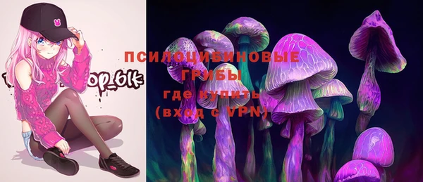 ПСИЛОЦИБИНОВЫЕ ГРИБЫ Арсеньев